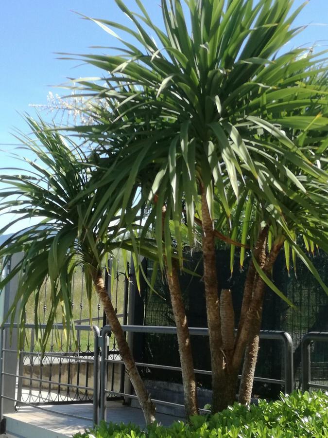 Residenza Orchidee Aparthotel Lazise Exteriör bild